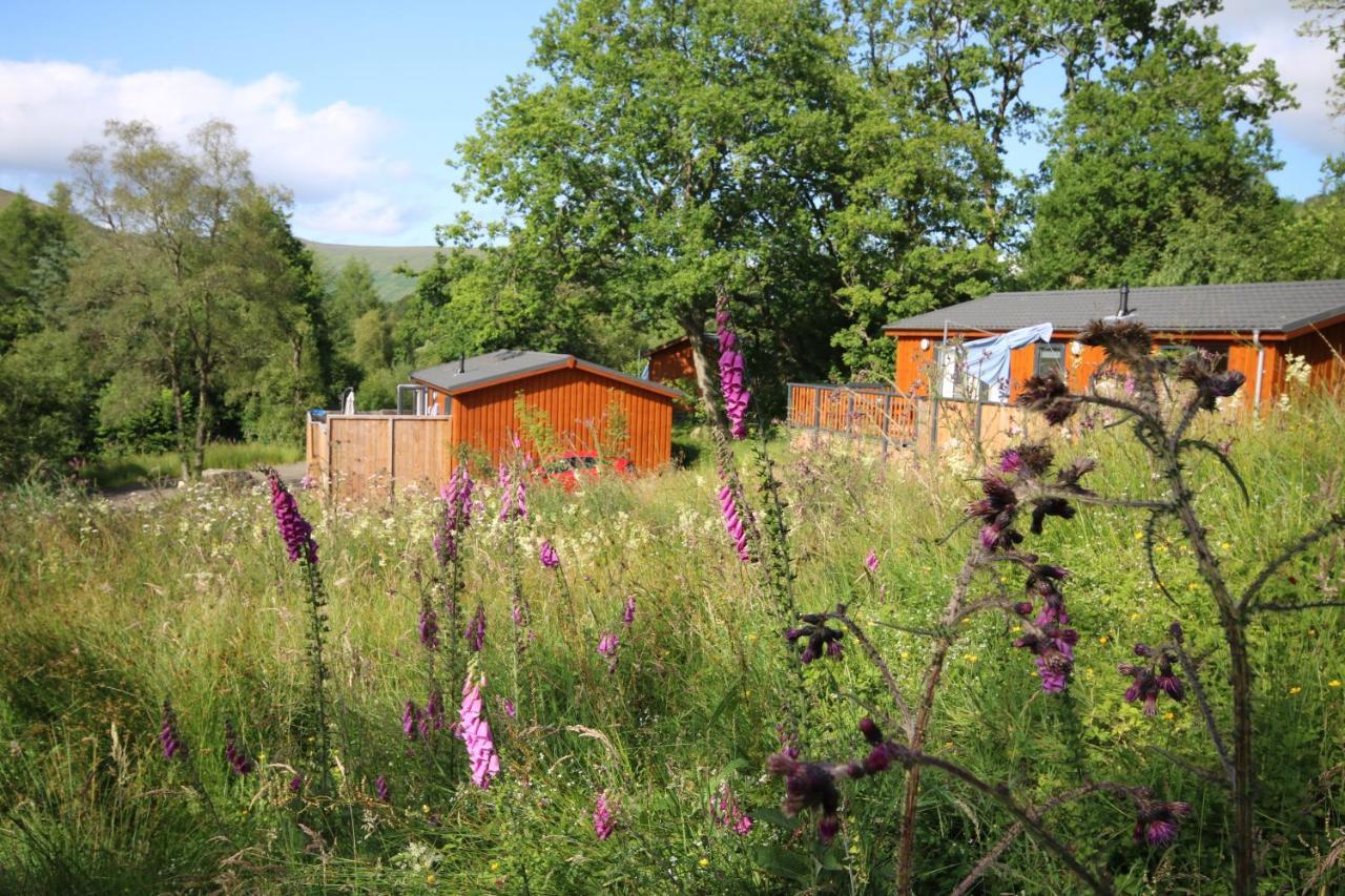Balquhidder Braes Holiday Park Lodges, Mostly With Hot Tubs And Pet Friendly, Ev Facilities Lochearnhead Eksteriør billede