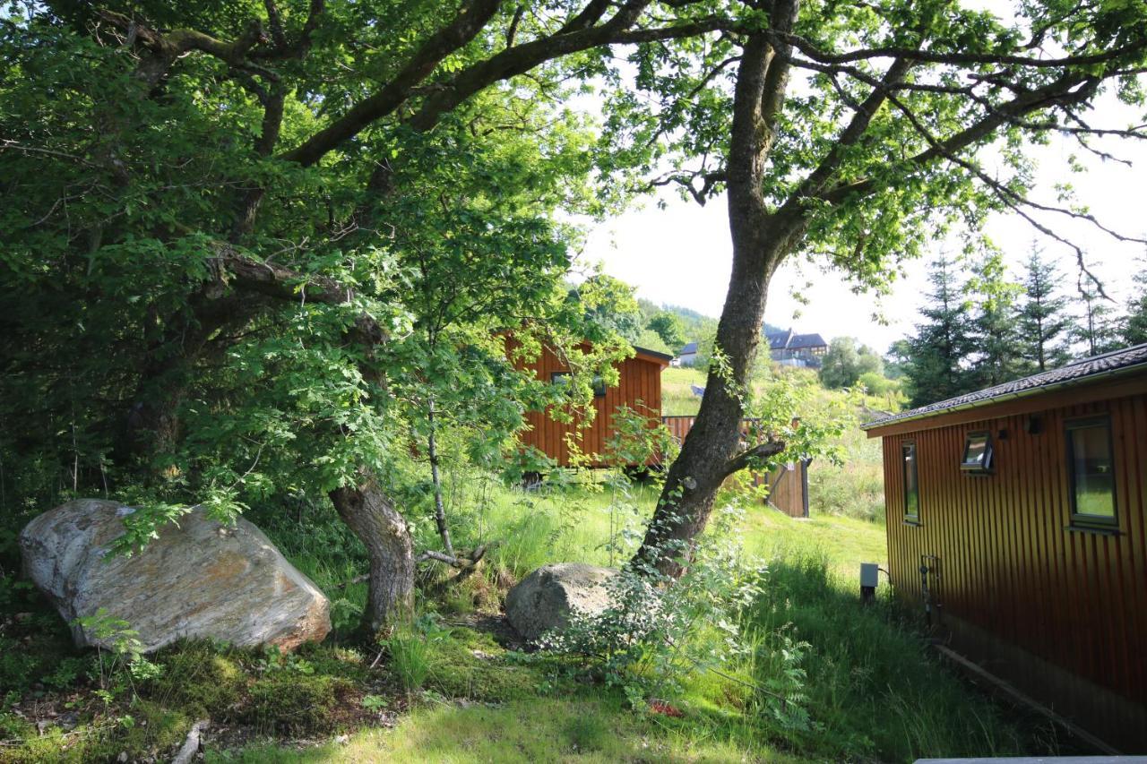 Balquhidder Braes Holiday Park Lodges, Mostly With Hot Tubs And Pet Friendly, Ev Facilities Lochearnhead Eksteriør billede