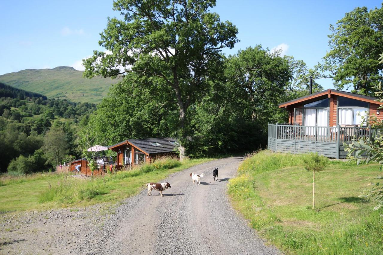 Balquhidder Braes Holiday Park Lodges, Mostly With Hot Tubs And Pet Friendly, Ev Facilities Lochearnhead Eksteriør billede