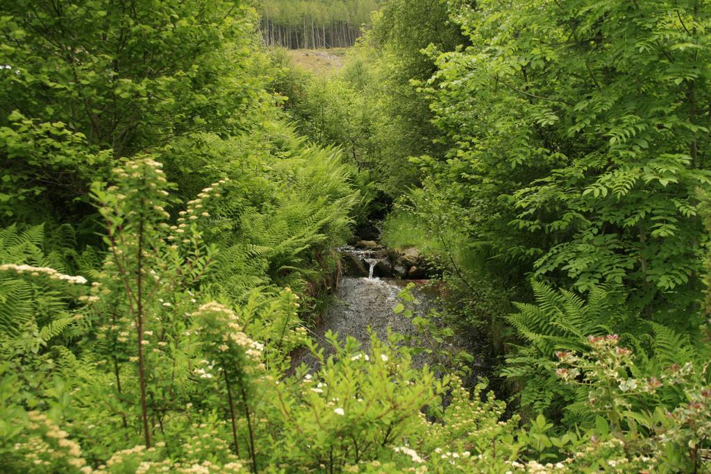 Balquhidder Braes Holiday Park Lodges, Mostly With Hot Tubs And Pet Friendly, Ev Facilities Lochearnhead Eksteriør billede