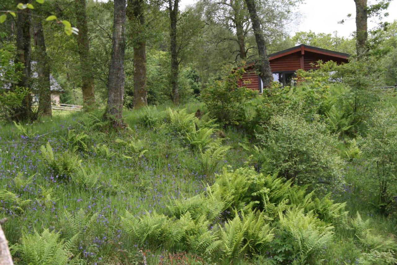 Balquhidder Braes Holiday Park Lodges, Mostly With Hot Tubs And Pet Friendly, Ev Facilities Lochearnhead Eksteriør billede